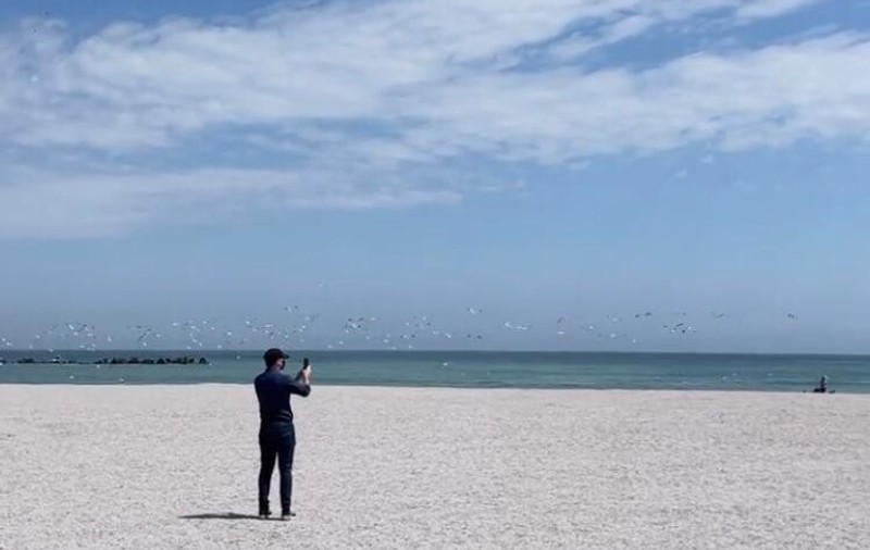 Premierul Florin Cîțu, Instastory de pe plaja din Mamaia