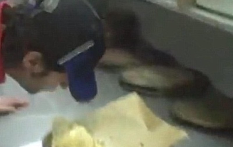 Mai vrei pizza dacă ştii cum îşi bat joc cei care o prepară?