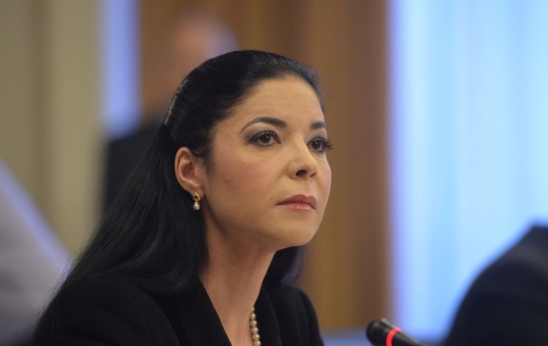 Ana Birchall, vehiculată ca vicepremier în Guvernul Dăncilă