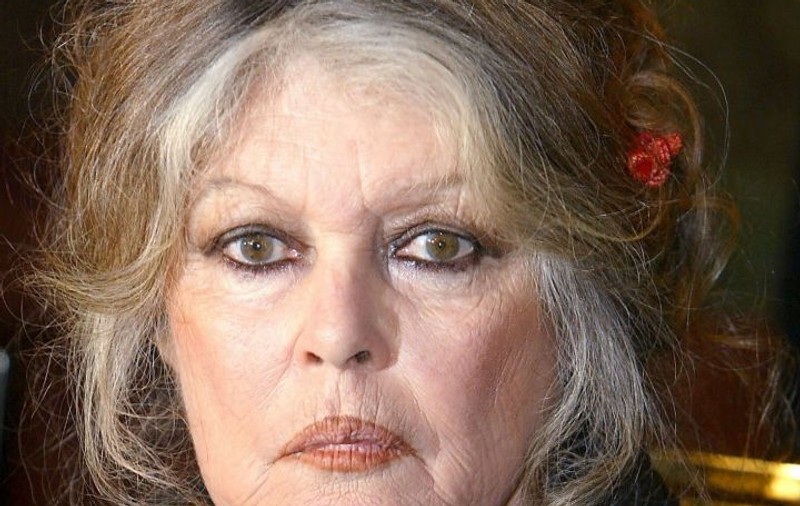 Criza maidanezilor! Brigitte Bardot trimite UN MESAJ preşedintelui ROMÂNIEI, după ce CÂINII VAGABONZI l-au ucis pe IONUŢ