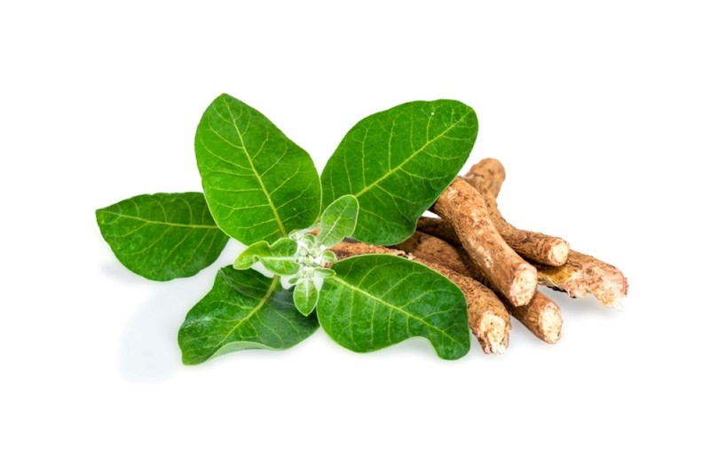 Ce este ashwagandha și ce beneficii are