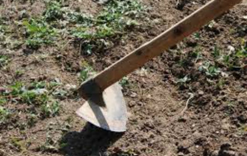 Un tânăr a fost lovit în cap cu o sapă! Atacatorul a spus că a confundat victima cu altă persoană!