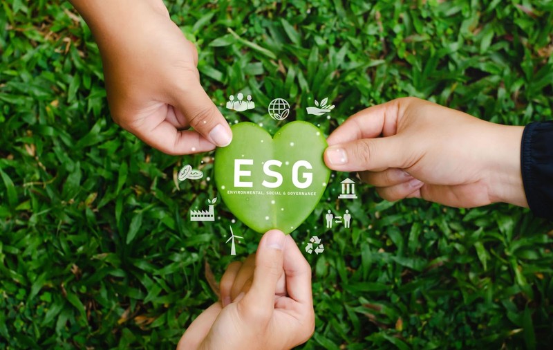 De ce contează ESG în strategiile de afaceri din 2025?