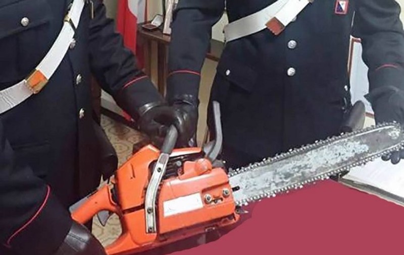 Un român stabilit în Italia i-a alergat și i-a amenințat pe câțiva vecini cu o drujbă!