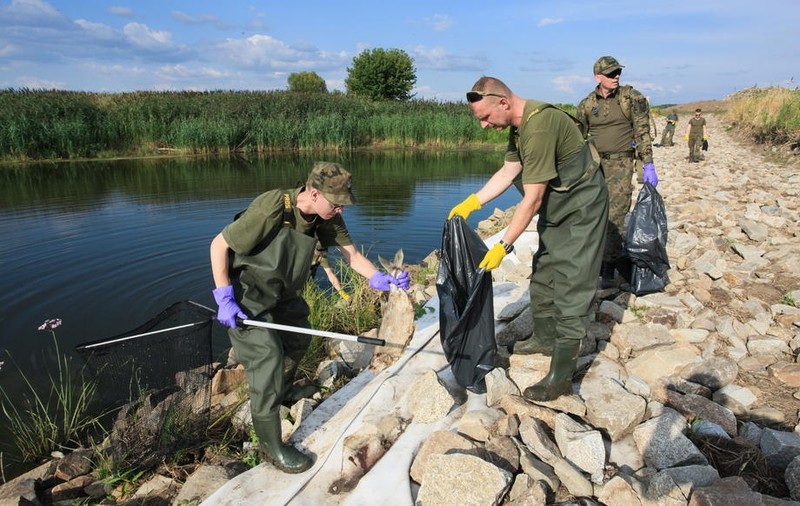 Dezastru ecologic, tone de peşti morţi. Autoritățile poloneze oferă recompensă pentru detalii care duc la cei care au otrăvit fluviul Oder