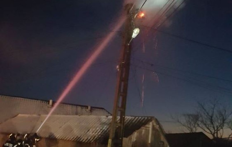 Misiune neobișnuită: pompieri chemați să stingă incendiul de la un cuib de barză