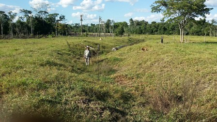Civilizație dispărută descoperită în Amazon