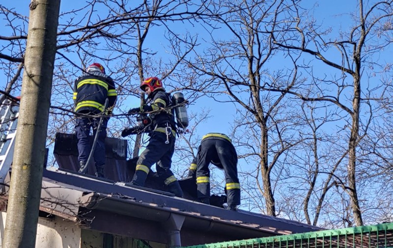 Incendiu la Grădina Zoologică din Râmnicu Vâlcea, la pavilionul unde sunt maimuțele. Animalele au fost evacuate