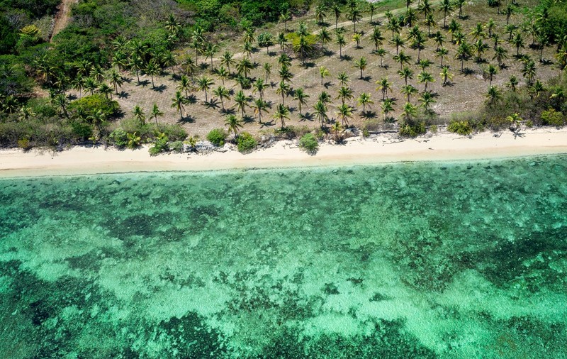 Şapte turişti străini, spitalizaţi după ce au băut cocktailuri într-o staţiune din Fiji