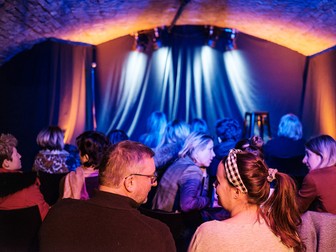 Caustic Comedy Club, Geneva, ianuarie, 2020&nbsp;
