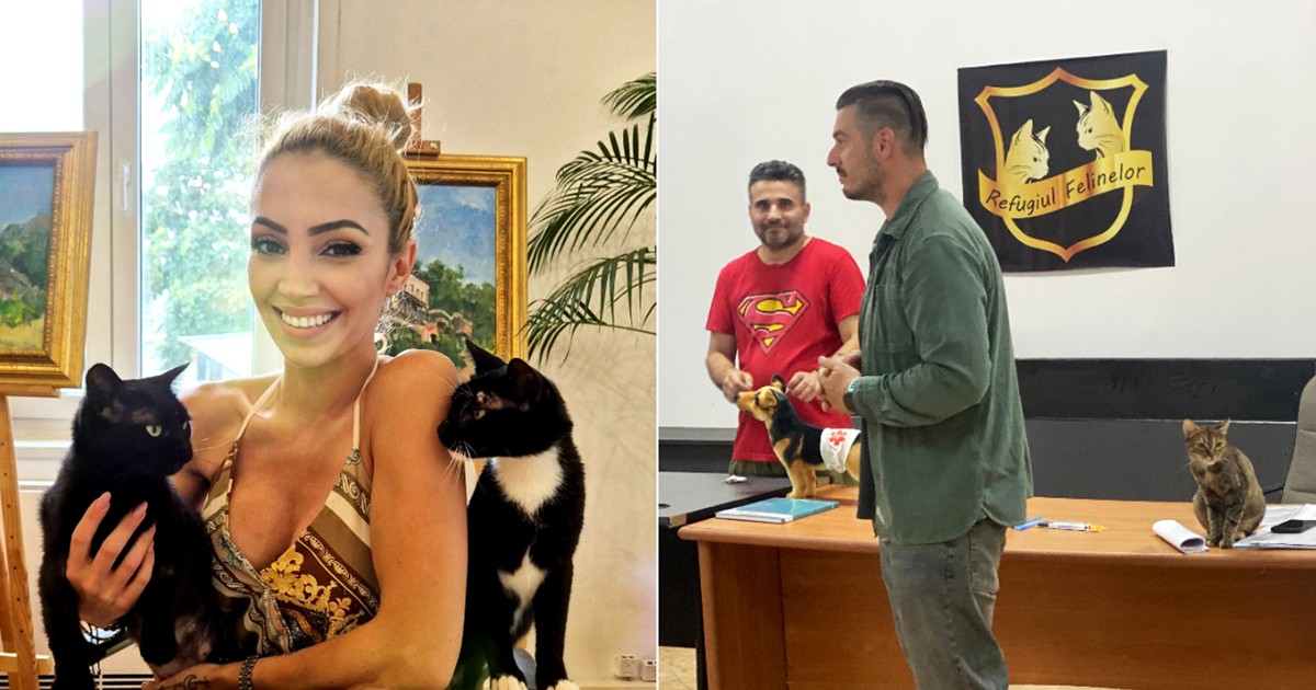 Un colaj cu o tanara blonda cu doua pisici alb cu negru in brate si doi barbati unul in tricou rosu si unul in camasa verde cu un catel si o pisica