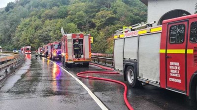 Incendiu pe Valea Oltului. Foto ISU Vâlcea