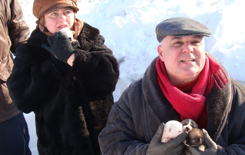 Uite ce puiuţi frumoşi au salvat dintre nămeţi!