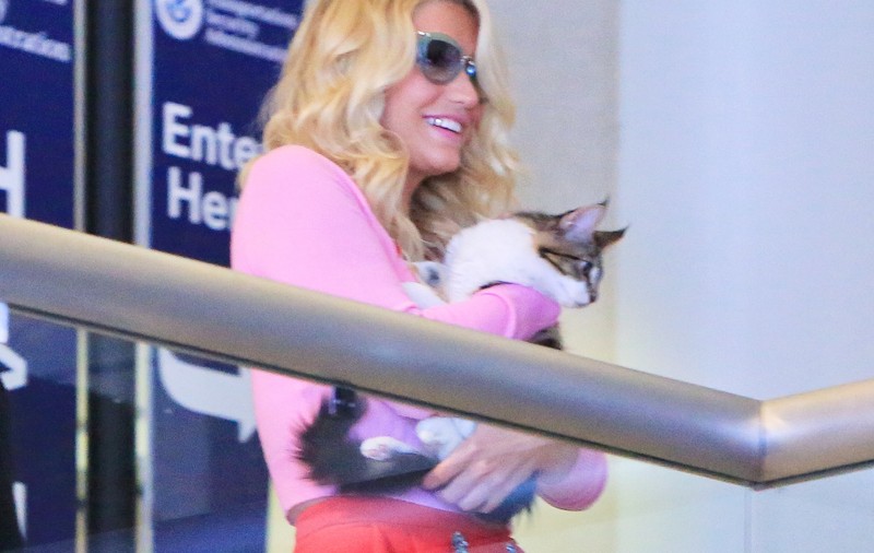 CÂNTĂREAŢA KESHA a reuşit IMPOSIBILUL! Şi-a ARĂTAT CHILOŢEII ÎN TOATĂ SPLENDOAREA, chiar dacă AVEA PANTALONI PE EA! FOTO