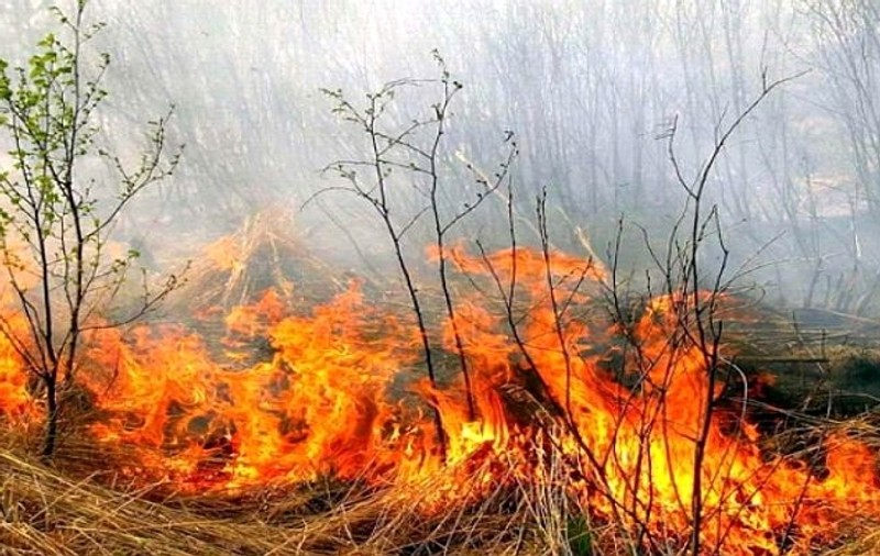 Incendiu de proporţii într-o pădure din Vâlcea. Pompierii au solicitat sprijin aerian de la IGSU
