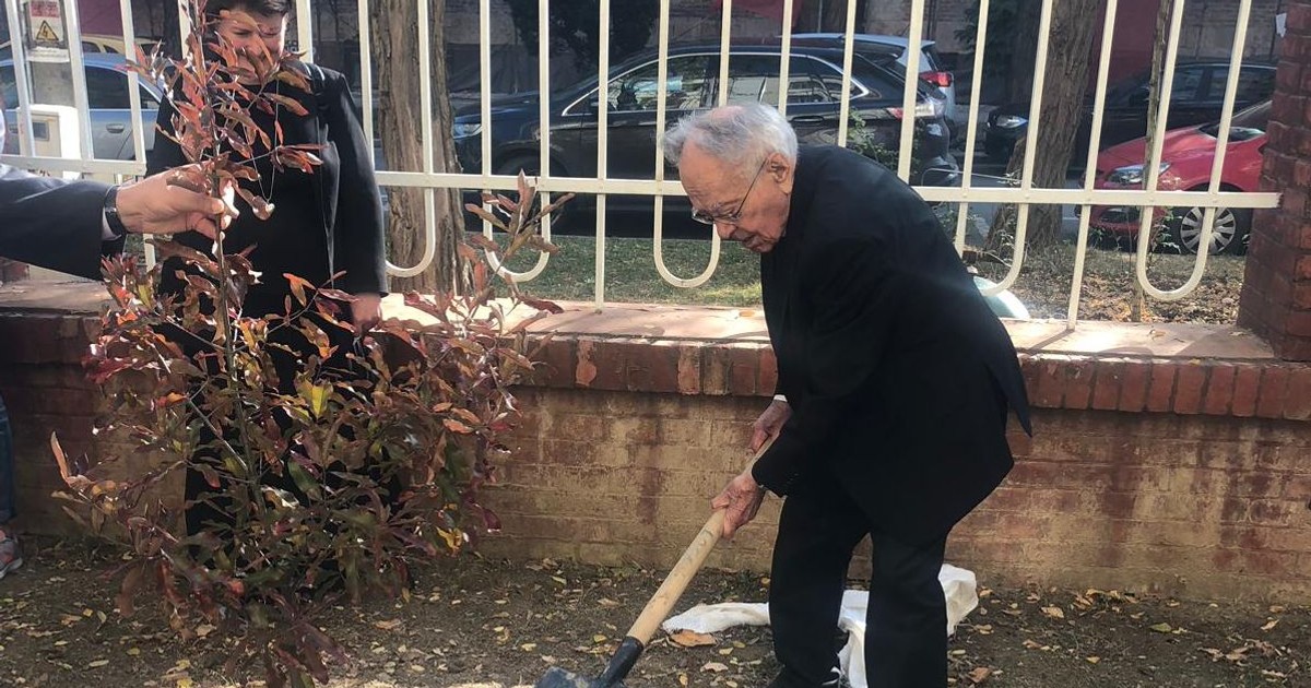 FOTO/ Eseistul Mihai Șora a plantat un stejar în curtea liceului în care a studiat la Timișoara. Biblioteca colegiului îi poartă acum numele