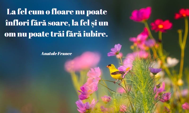 Mesaje de Florii 2021 - Citate celebre