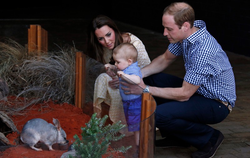 CEL MAI PRIETENOS PRINŢIŞOR! Nu a zis NICI "PÂS" când A DAT CU OCHII de aceste ANIMALE CIUDATE! GALERIE FOTO