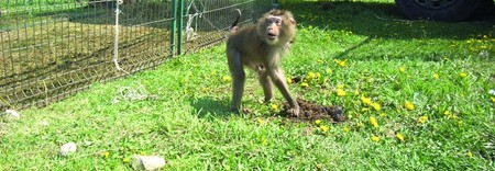 Arhiva foto
