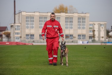 Mihnea Stănescu și Taz, un ciobănesc belgian