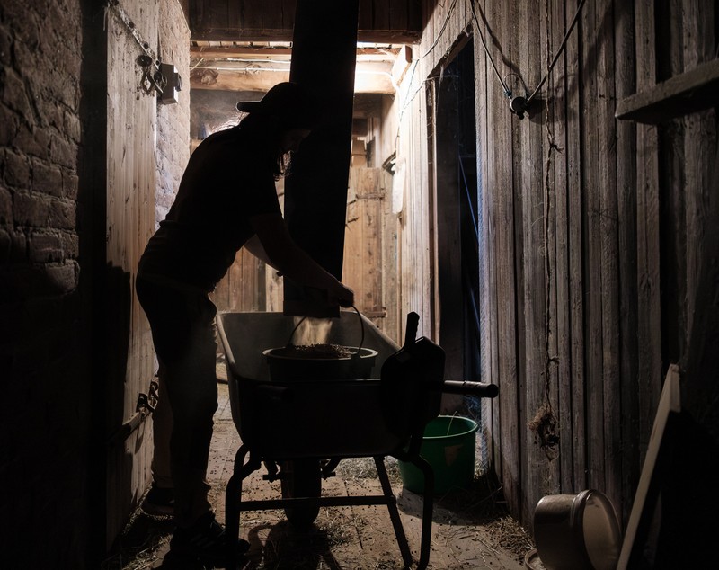 REPORTAJ. O româncă a plecat la 19 ani dintr-un sat din Bacău și a ajuns să candideze la alegerile locale din Norvegia: „Aici, când aud că ești fermier, oamenii își dau jos pălăria și îți spun «Mulțumesc pentru mâncare!»” 