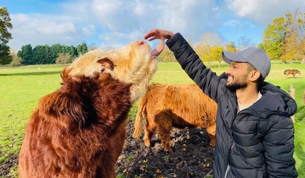Văcuțele Highland, care trăiesc alături de poneiul Basil, sunt foarte prietenoase. Locul a devenit celebru pentru atmosfera sa caldă și apropierea de animale. Foto: Airbnb