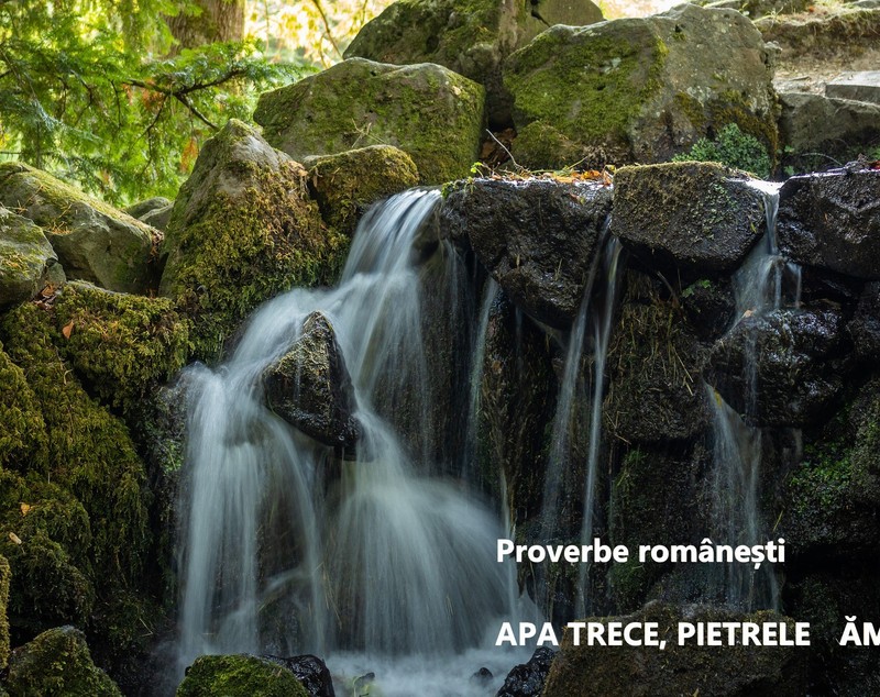 Proverbe românești - lista celor mai celebre și mai puțin cunoscute proverbe