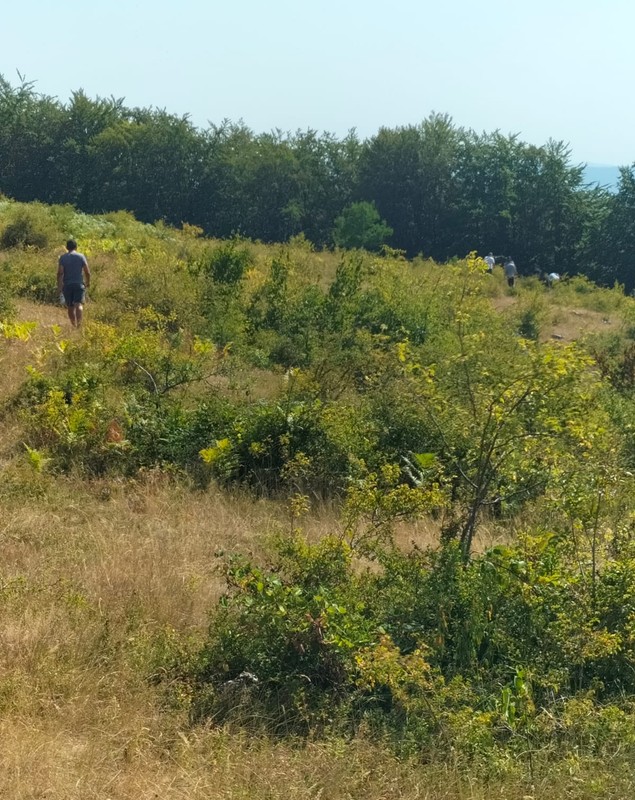 Pacient de la sanatoriul Dobrița, din Gorj, căutat de aproape două săptămâni de polițiști și salvamontiști. Au fost trimise drone și un elicopter