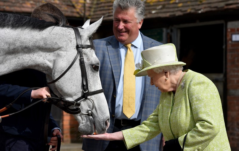 Charles al III-lea a scos la vânzare 14 dintre caii reginei Elisabeta a II-a. Unul dintre ei a devenit campion cu două zile înaintea morții monarhului