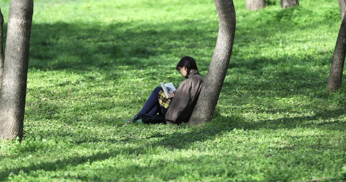 O tânără cu codițe stă pe iarbă, sprijinită de un copac și citește o carte, în parcul Cișmigiu din București, 22 aprilie 2025