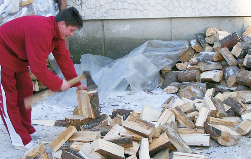 Exportul de lemne de foc, interzis pentru trei ani; Senatul a luat decizia