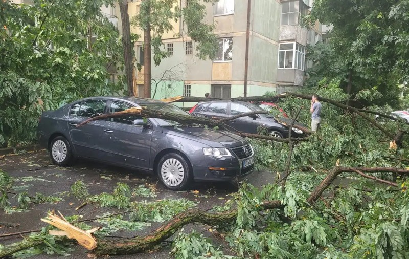 Pagube în București, după codul galben de furtună: 57 de copaci căzuți și 39 de mașini avariate