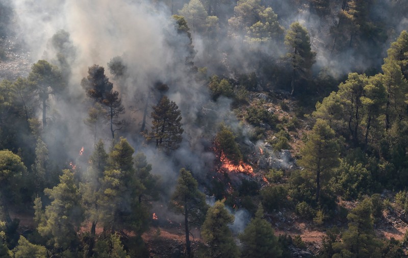 Alertă de incendii în Grecia. În doar 12 ore au izbucnit 71 de focare din cauza vântului puternic. Zonele afectate