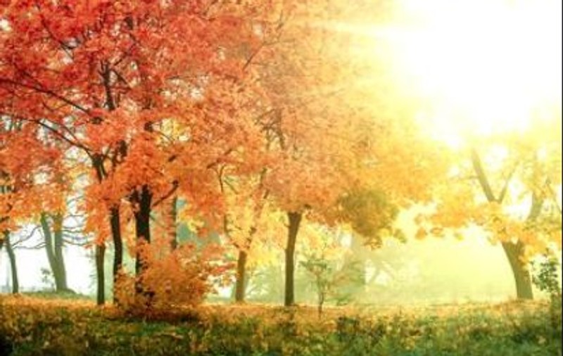 Prognoza meteo pentru perioada 11-24 noiembrie. Temperaturile, cu 10 grade peste media normală