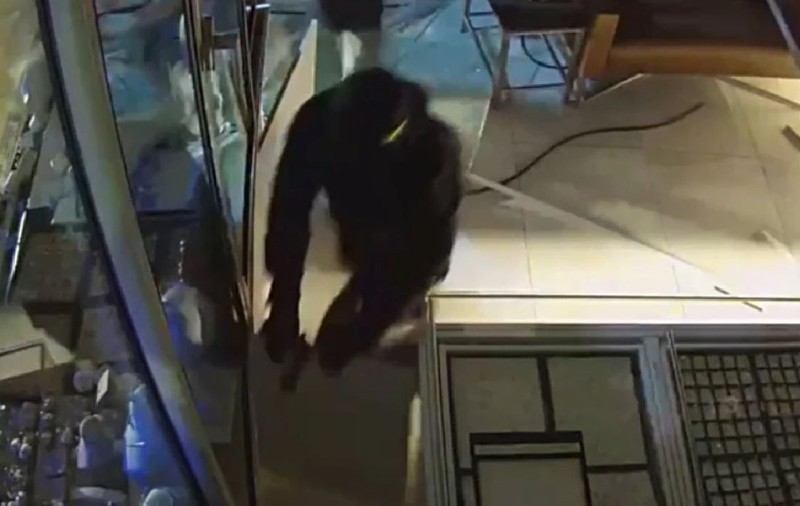 Panterele Roz au furat bijuterii de 1.000.000 de euro în doar două minute. Jaful a fost filmat într-un mall din Germania