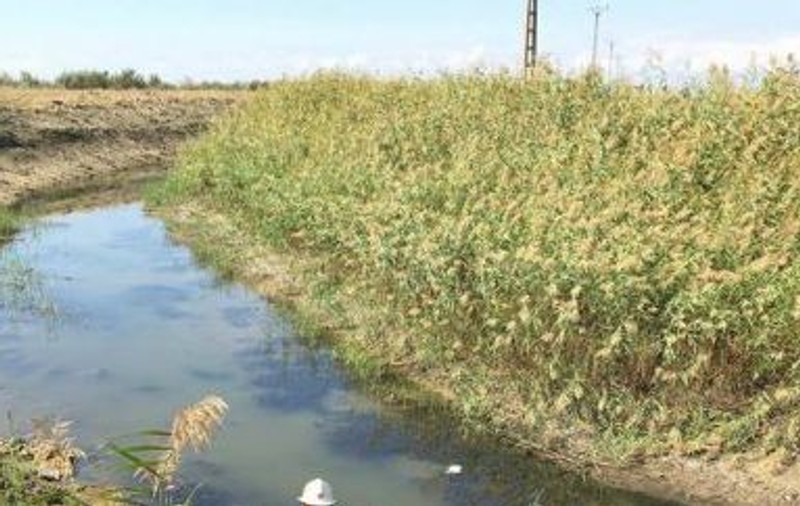 Român de 26 de ani, găsit mort într-un canal de irigații din Italia