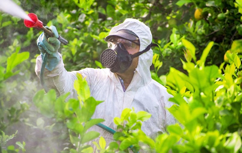 De ce este importantă utilizarea pesticidelor potrivite în agricultură ?