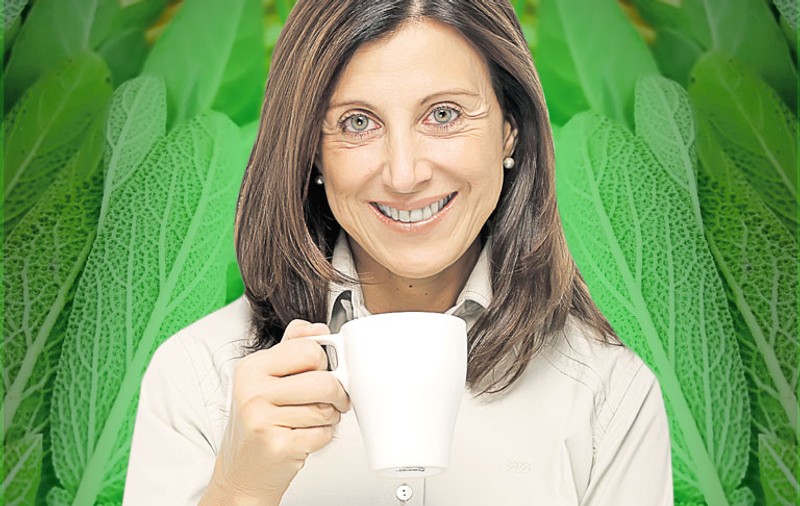 Simptomele neplăcute ale menopauzei se ameliorează cu produse naturale: Salvia reduce bufeurile