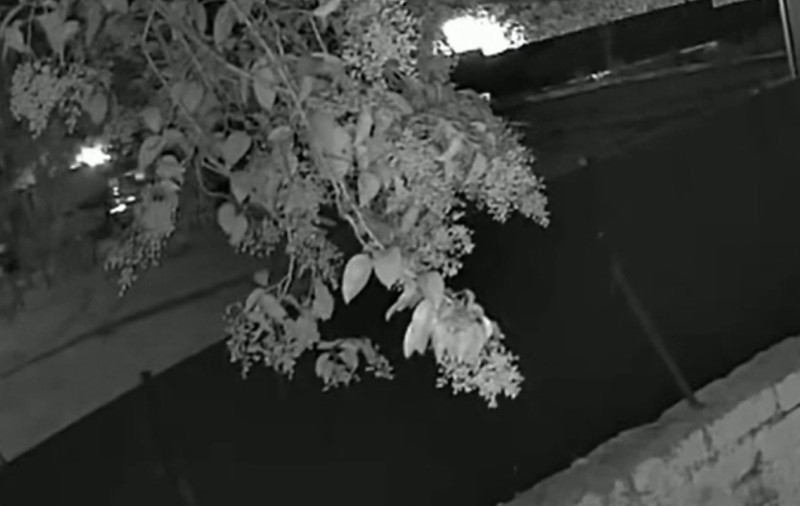 Video cu momentul în care un român e împușcat din spate și ucis, în Italia: „A pozat în justițiar, nu era autoapărare”