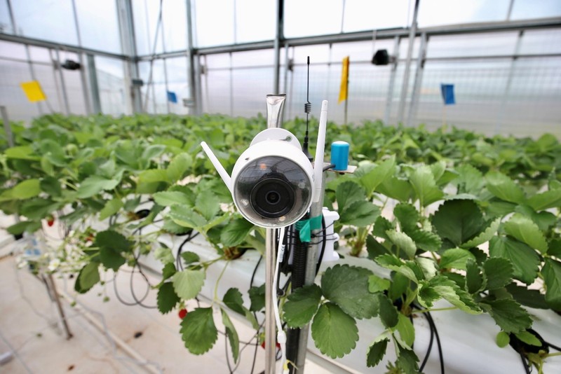 Senzor folosit în concursul de agricultură inteligentă Sursa foto: Pinduoduo