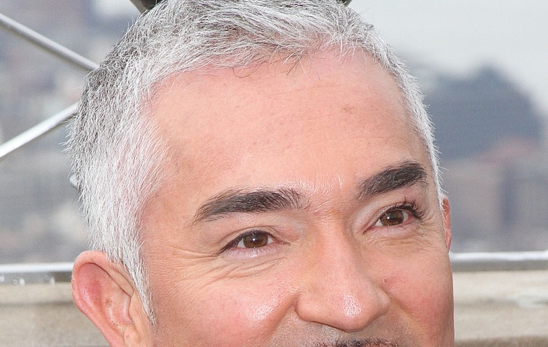 „Îmblânzitorul de câini” Cesar Millan, acuzat de cruzime față de animale!