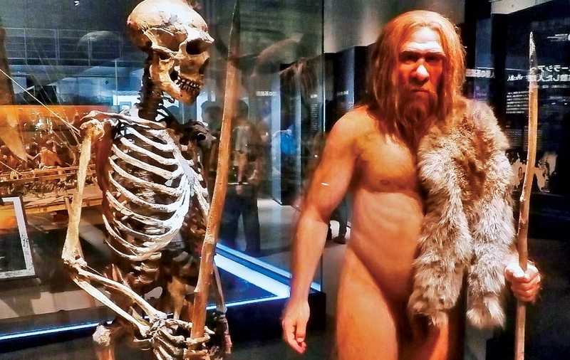 Cercetătorii israelieni au descoperit „strămoșul” omului de Neanderthal
