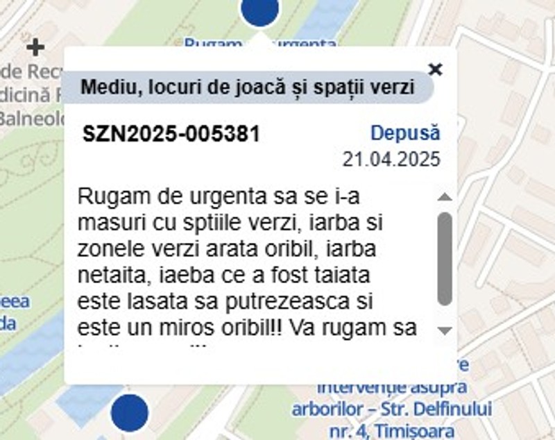 „Cosirea mozaicată”, un fiasco la Timișoara. Orașul a fost invadat de buruieni, după ploile abundente din aprilie: „Toate parcurile arată ca abandonate” 