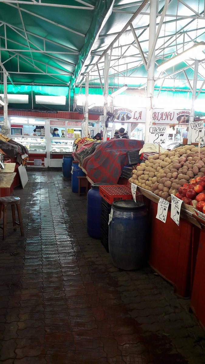 Arhiva foto