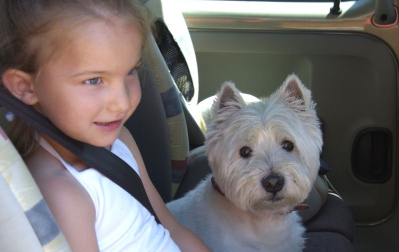 Ai un BEBELUŞ. ESTE BINE să AI ŞI UN CÂINE ÎN CASĂ?