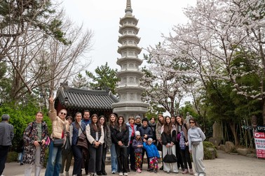 Program Cultural Coreea 2025