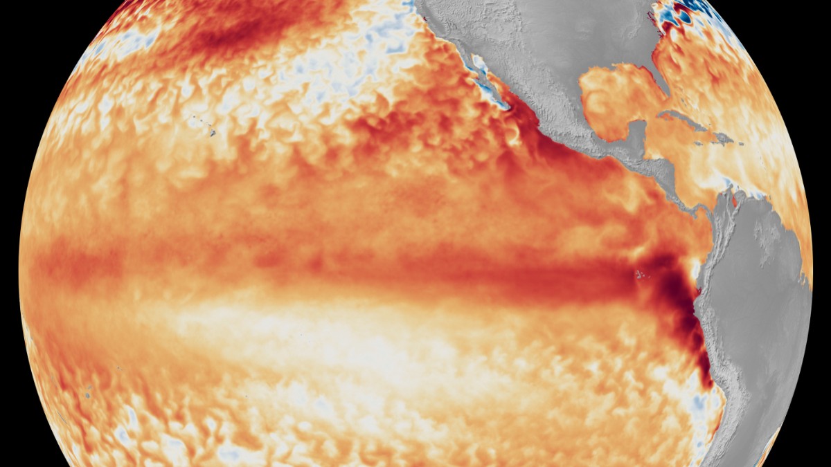 Hartă satelitară care ilustrează anomaliile de temperatură ale suprafeței apei din Oceanul Pacific