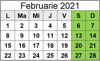 Calendar februarie 2021. În luna februarie 2021 nu sunt zile libere legale
