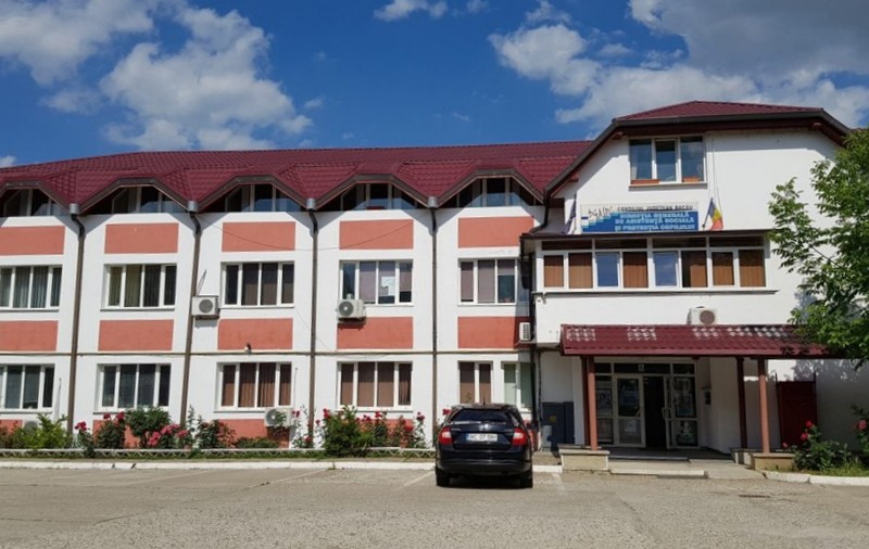 Protecția Copilului Bacău a cumpărat mașini de 650.000 de lei, în timp ce angajații au ieșit în stradă pentru că nu şi-au primit salariile