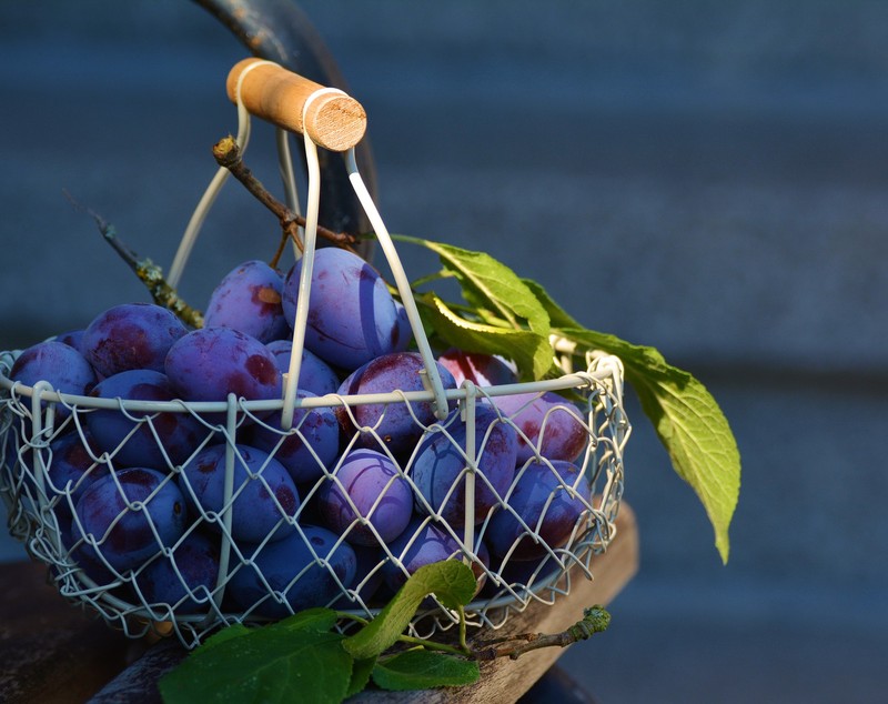 Prune - top 15 beneficii pentru sănătate